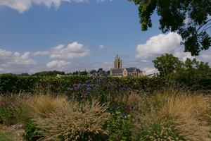 Traitement punaises de lit Argenteuil